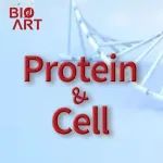 Protein & Cell | 汤富酬/付卫课题组合作解析人类胃体上皮细胞的基因表达调控机制