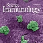 Sci Immuo｜王迪团队揭示杯状细胞GSDMD调控粘液分泌塑造肠道免疫稳态的新功能