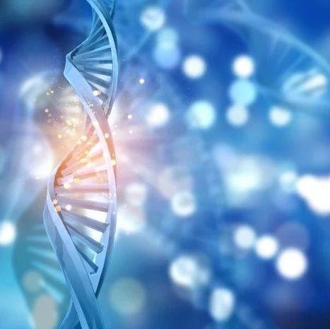 中国生化免疫流水线市场趋势分析：Roche Diagnostics领跑，迈瑞医疗崭露头角
