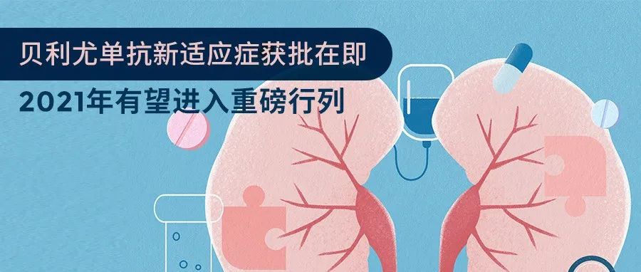 贝利尤单抗新适应症获批在即，2021年有望进入重磅行列