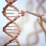 临床研发阶段的13个PROTAC及5个分子胶一览