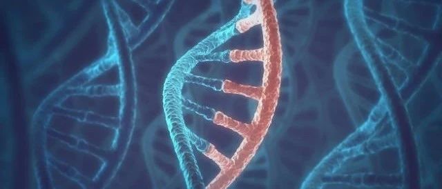增加基因疗法递送多样性！Beam Therapeutics收购了这家新锐公司