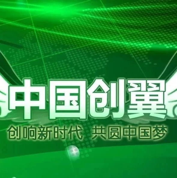 喜报！第四届“中国创翼”创业创新大赛上海选拔赛·总决赛嘉定区成绩优异，两支项目获奖！