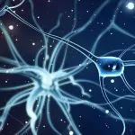 植提 | α-倒捻子素在神经系统中的保护作用研究进展