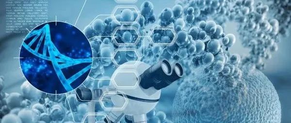 融合CAR-T和TCR-T优点的新型细胞疗法，显著提升实体瘤疗效|Science子刊