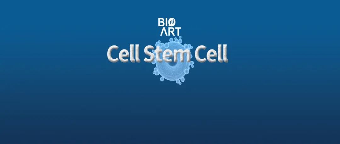 Cell Stem Cell | 江鹏团队揭示 I 型干扰素信号在唐氏综合症和阿尔茨海默病中调控小胶质细胞的机制