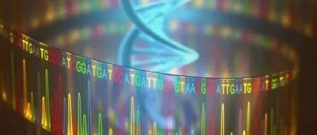 累计融资超7.5亿美元，这三家细胞与基因疗法公司有何不同？