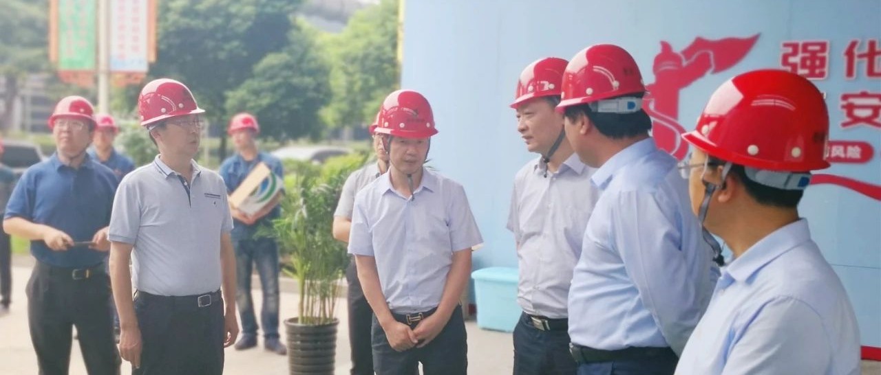 省发改委副主任祁彪来扬调研钢铁企业