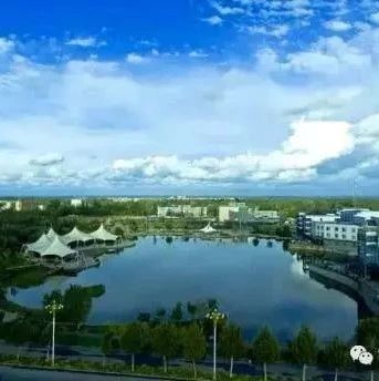 通知 | 关于发布上海市2021年度“科技创新行动计划”实验动物研究领域项目申报指南的通知