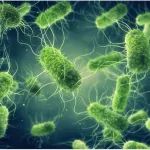 法国公司探索「微生物暗物质」寻找新的抗菌剂，首款抗生素候选药物适应症为艰难梭菌感染，已进入临床Ⅱ期