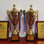 高新区太行大街小学在河北省小学生课间操线上比赛中荣获特等奖