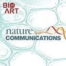 Nat Comm 丨张嘉宁/任艳等揭示O-GlcNAc糖基化调控基因毒应激反应作用机制
