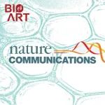 Nat Commun | 刘文团队揭示精氨酸甲基化修饰网络促癌机制  ​