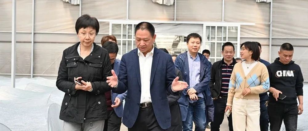 农业农村部乡村产业发展司一级巡视员吴晓玲莅临寿仙谷药业调研