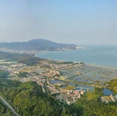 应审尽审！发展和财政局五措并举高效履行财政投资结（决）算评审职能