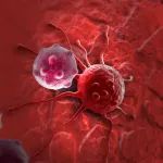 康爱生物自主研发国内首个M-CTL实体瘤细胞治疗新药IND获批