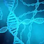 砍管线，又一家细胞疗法公司调整研发战略