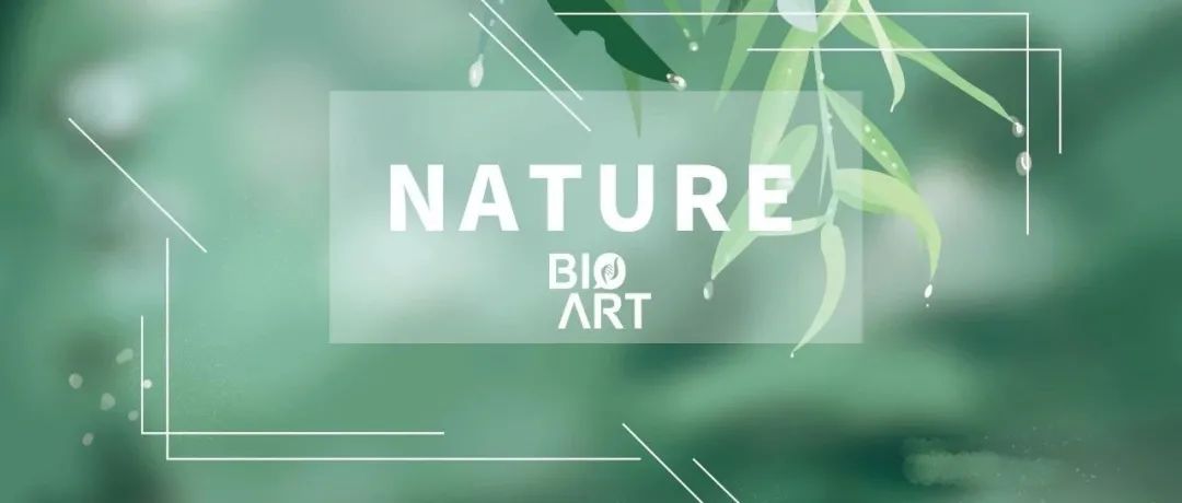 Nature | 吴皓/阮建彬合作报道GSDMD的成孔机制及白介素1的释放模型