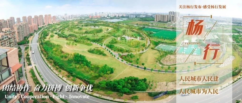 【讯息】区委书记陈杰调研杨行，勉励杨行站高望远、借势用力，加快推动新一轮发展