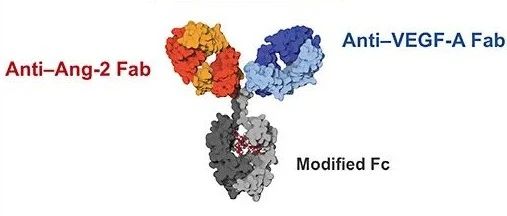 首款针对眼睛设计的双抗药物Faricimab Ⅲ期临床效果良好，治疗时间长达16周