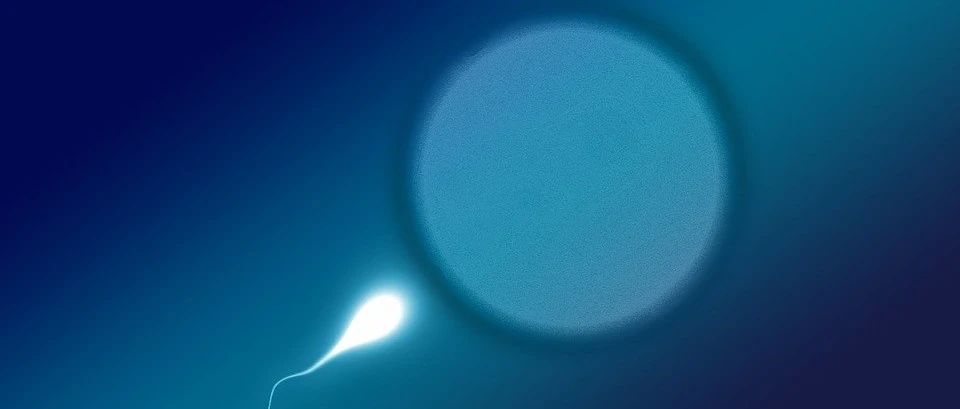 又一款“性”福产品!科学家开发出新型男性避孕药,100%有效,同时“不伤身”