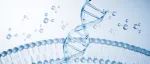 10多款细胞和基因疗法今年有望获批！哪些突破将引领下一代疗法？