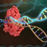 基因组工程新技术——快速测试数千种基因突变