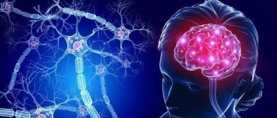 茂行生物新型CAR-T治疗脑胶质瘤临床研究取得突破性进展丨医麦猛爆料