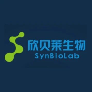 欣贝莱生物：面向千亿市场的合成生物研发平台