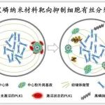 Nature子刊：李红昌/喻学锋/李洋团队提出肿瘤精准靶向“纳米磷疗”新策略