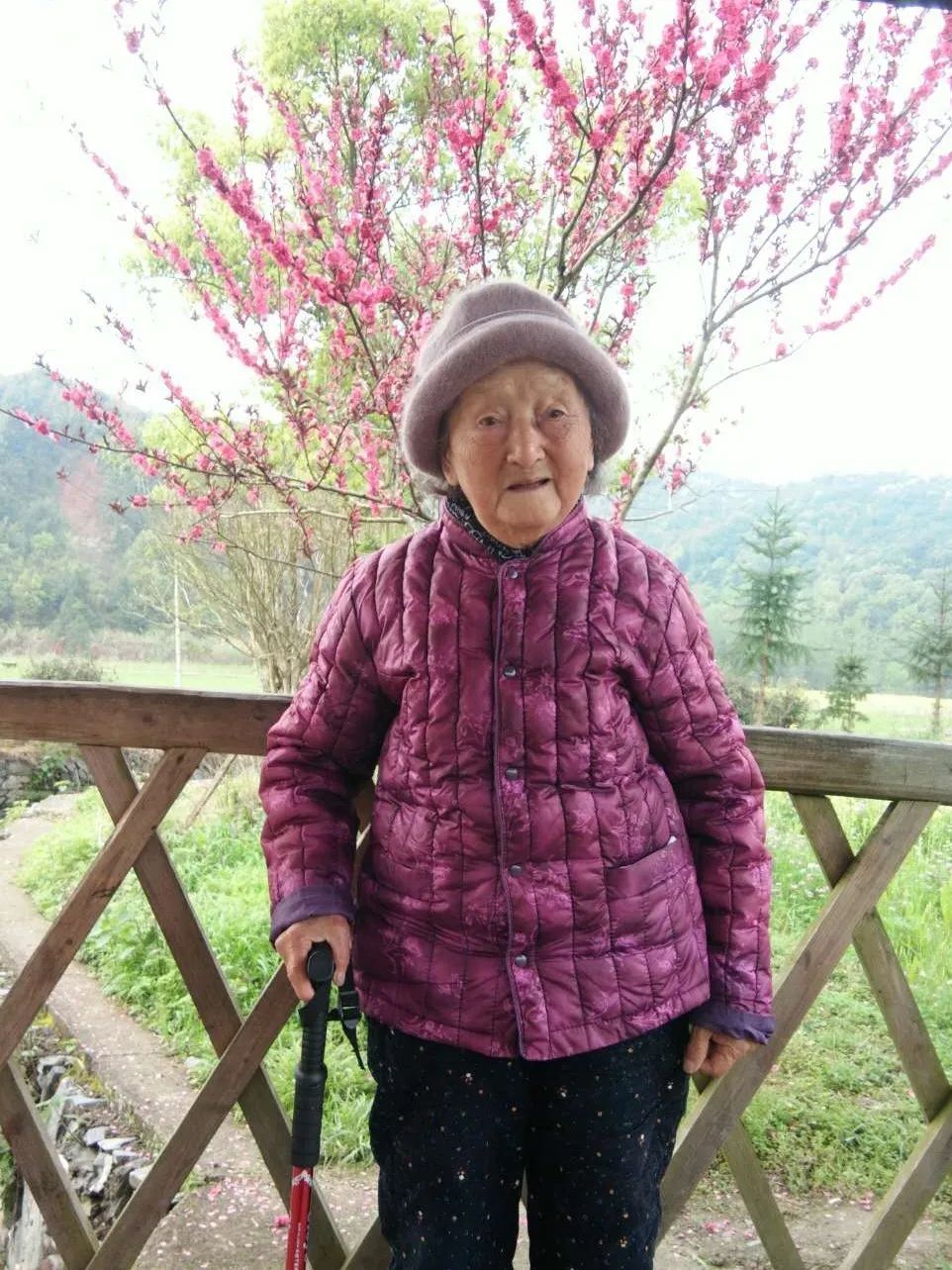 何晨霞.jpg
