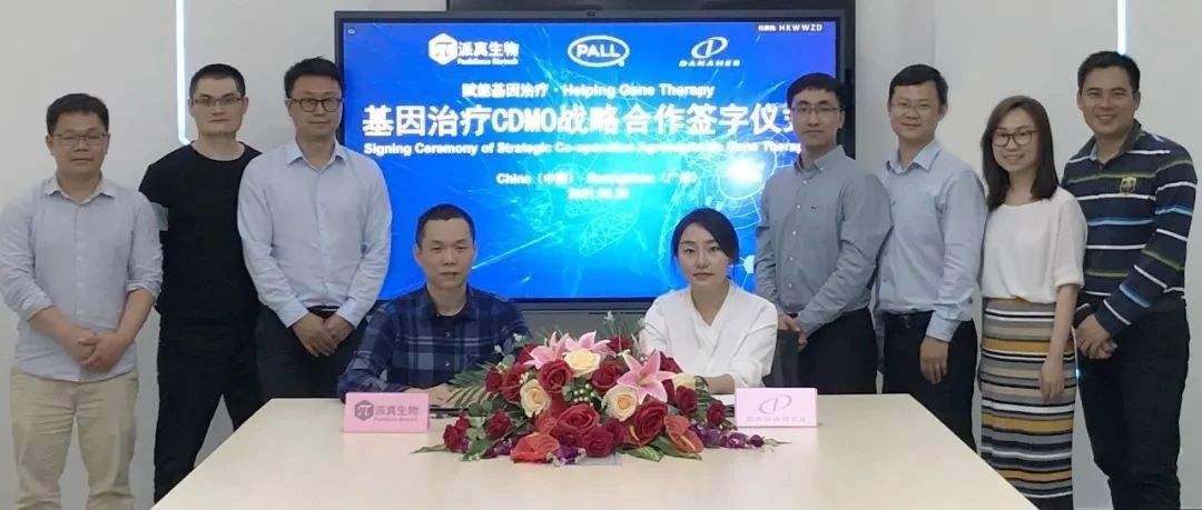 中国基因治疗里程碑合作，病毒载体CDMO派真生物携手颇尔开发基因治疗生产技术丨医麦猛爆料