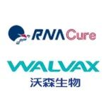 沃森生物/蓝鹊生物新冠mRNA疫苗IIIb期临床结果积极