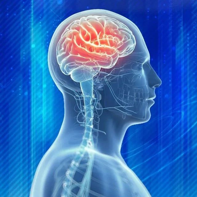 中国脑健康日 | 国家科技进步一等奖揭示保护微血管就是保护心脑