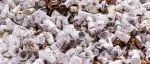 中国科学家发现能有效降解塑料垃圾的海洋微生物菌群和酶