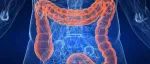 【PNAS】如何让肠癌患者得到更有效治疗？科学家发现通过激活一种蛋白物质能够大幅提升药物的作用！
