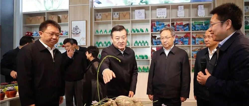 住建部副部长倪虹来宿迁调研，点赞了这些地方！