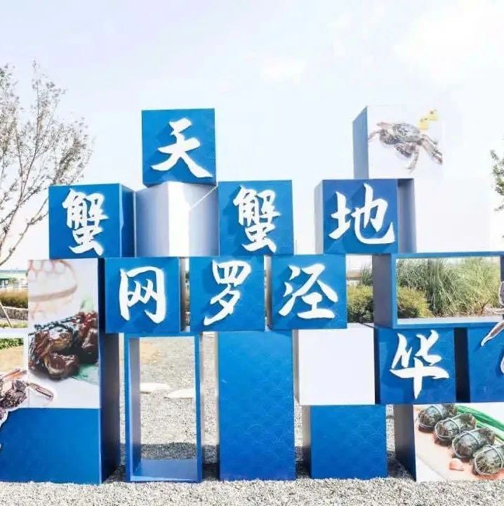宝山湖长江蟹连续第九次荣获“王宝和杯”全国河蟹大赛金蟹奖！