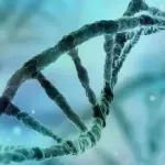 科学家发现了一种基因变体，会使COVID-19的致死风险加倍