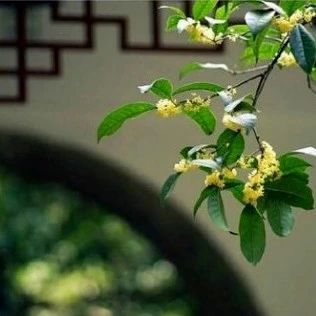 2月份，117个产品获批了！