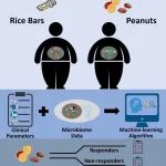 陈雁/林旭研究组利用肠道菌群分析和机器学习算法揭示精准营养在干预代谢综合征中的作用