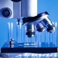 国家药监局药审中心关于发布《生物类似药相似性评价和适应症外推技术指导原则》的通告（2021年第18号）