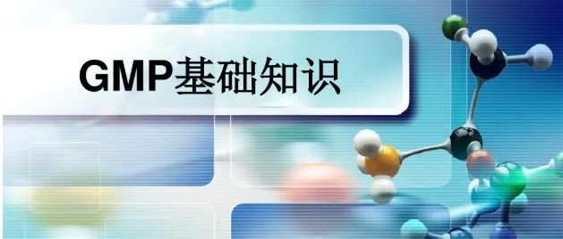 课件分享GMP基础知识