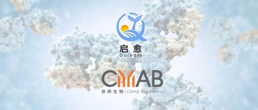 祝贺苏桥生物合作伙伴启愈生物全球首个获批美国IND的Claudin18.2/PD-L1双特异性抗体药物！