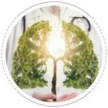 科创之星 | MemoLefort左心耳封堵系统完成上市后首例临床植入