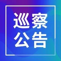 一届区委第十一轮巡察公告