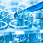 生物药研发注册申报及质量研究