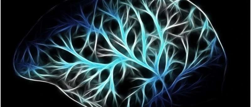 【Nature子刊】科学家发现自体移植疗法可减轻帕金森病猴的运动障碍和抑郁行为！
