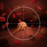 前沿 | 杀死癌细胞又不伤害正常细胞，Nature子刊研究揭示新策略