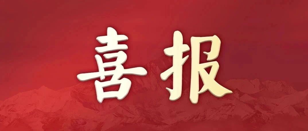 喜报！奉贤学子在全国联赛中智夺3个一等奖7个二等奖5个三等奖，你认识他们吗？